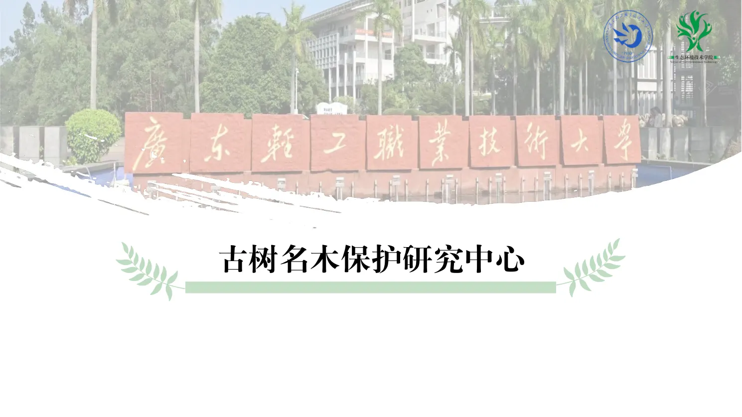 古树名木保护研究中心校园与中心封面