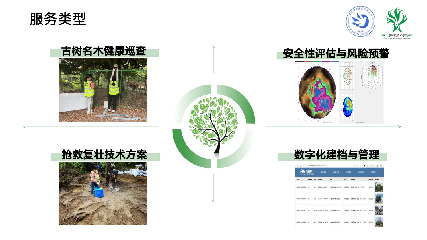 古树名木保护服务类型